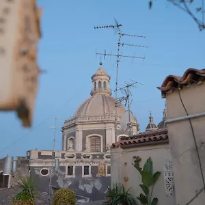 Hostel Degli Elefanti, CTA