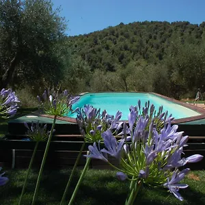 il-pino-vetulonia.it-tuscanyhotel.com/